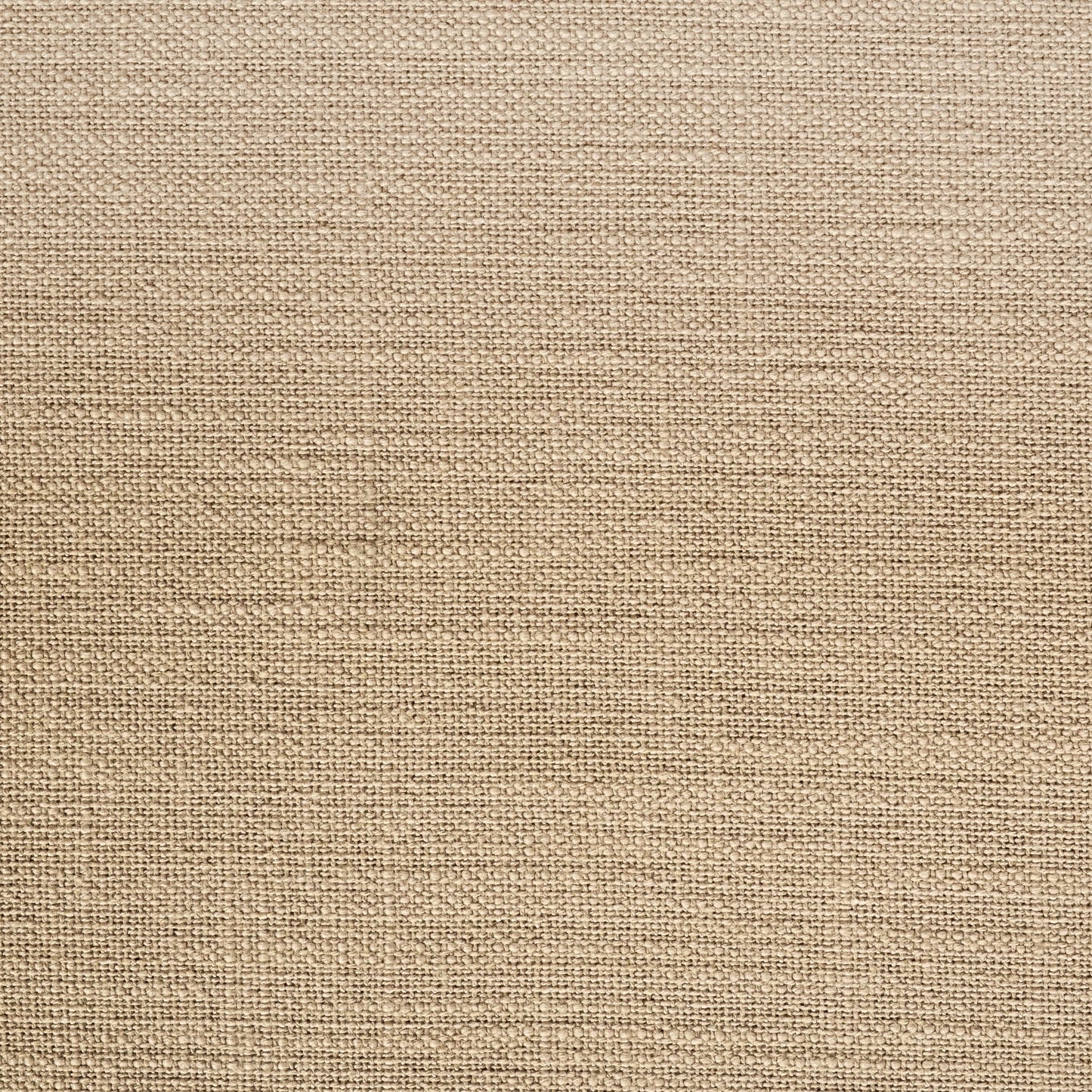 Arbre de Glenn Hall avec banc