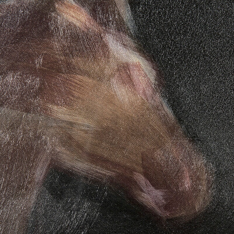 Tableau encadré Running Wild