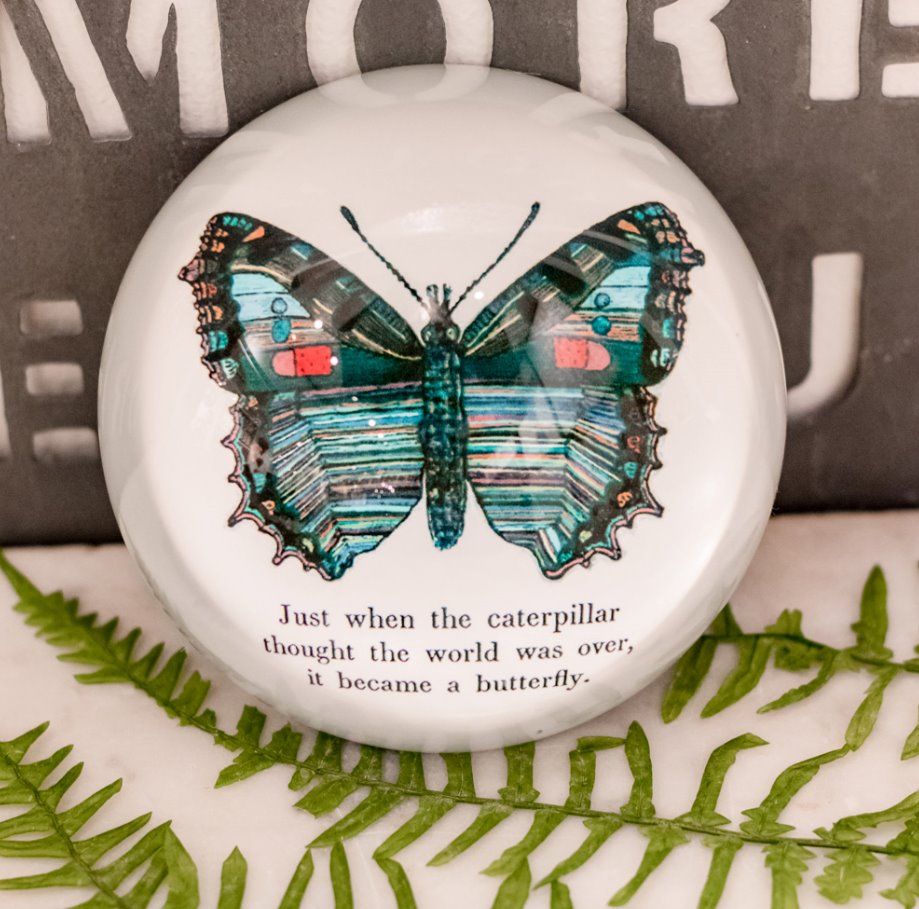 Presse-papier papillon