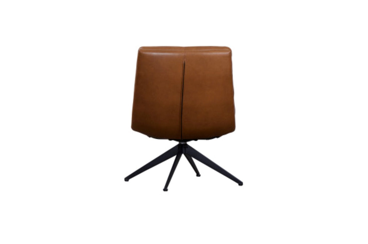 Fauteuil d'appoint en cuir Cetus