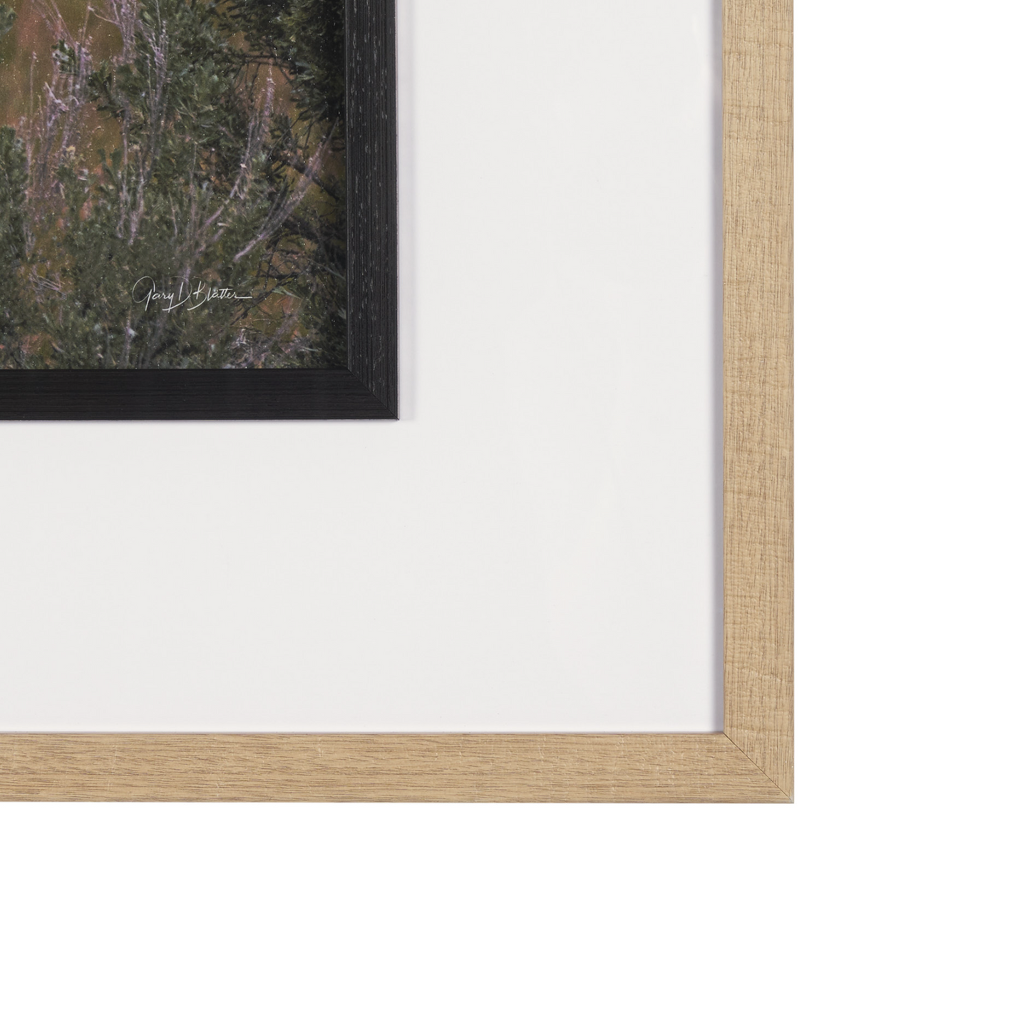 Décoration murale Longhorn 5