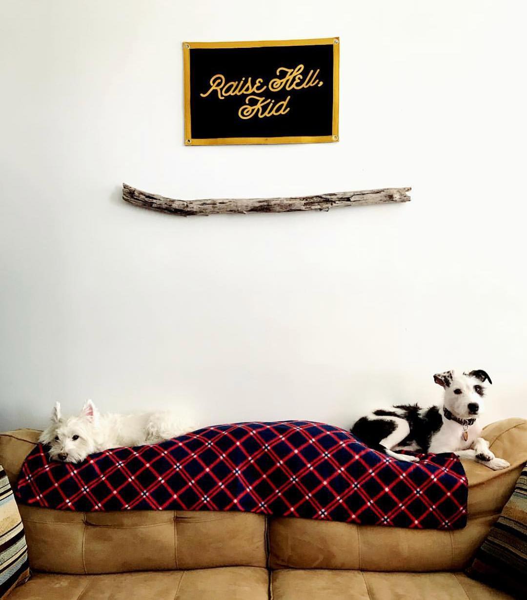 Fais du bruit, drapeau du camp des enfants