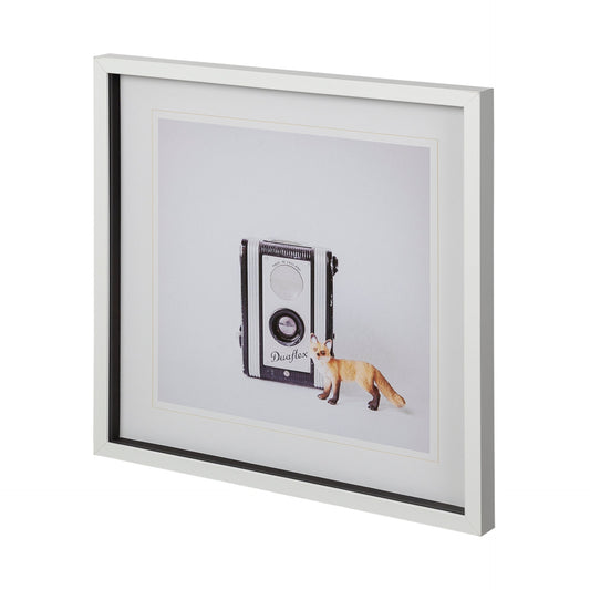 Fox et appareils photo vintage