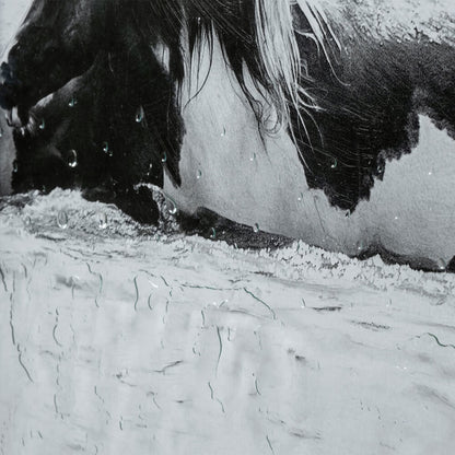 Tableau Cheval d'eau III