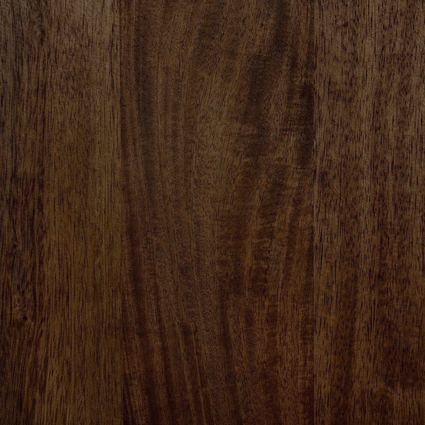 Arbre de Glenn Hall avec banc