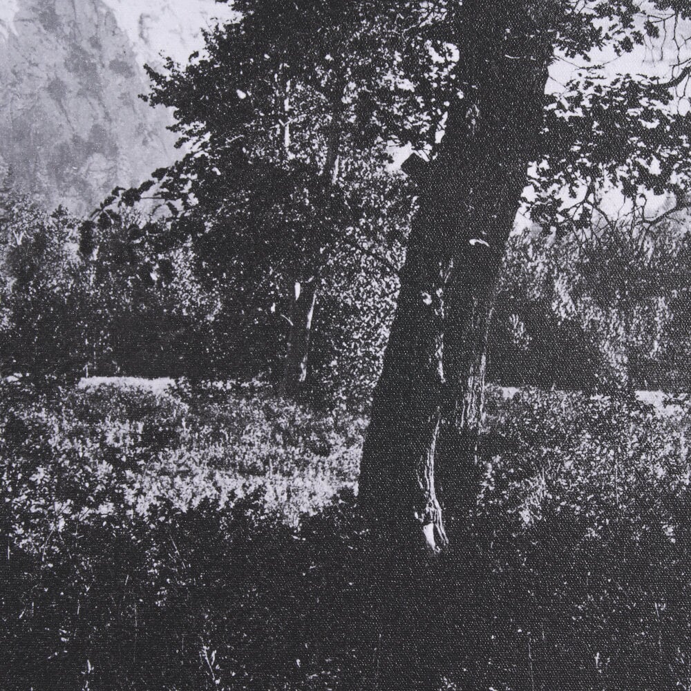 Tableau encadré des chutes de Yosemite