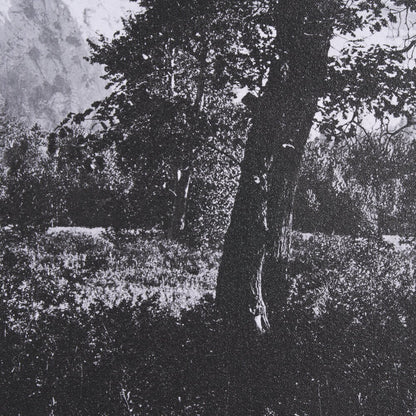 Tableau encadré des chutes de Yosemite