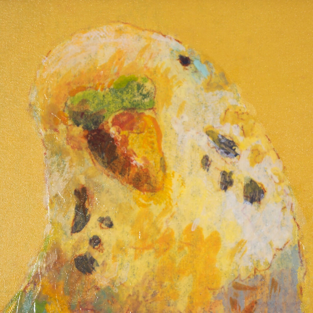 Tableau encadré Pop Birds