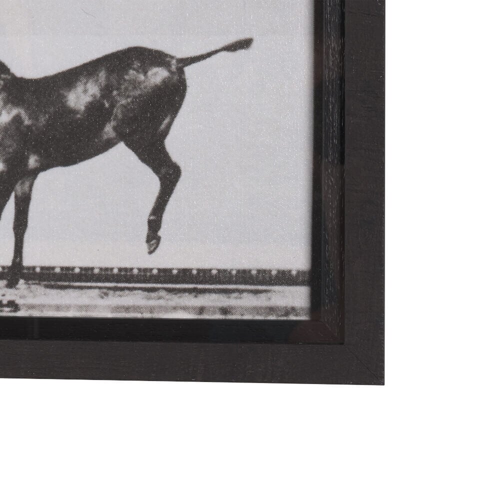 Art mural « Bucking and Kicking »