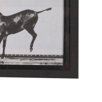 Art mural « Bucking and Kicking »