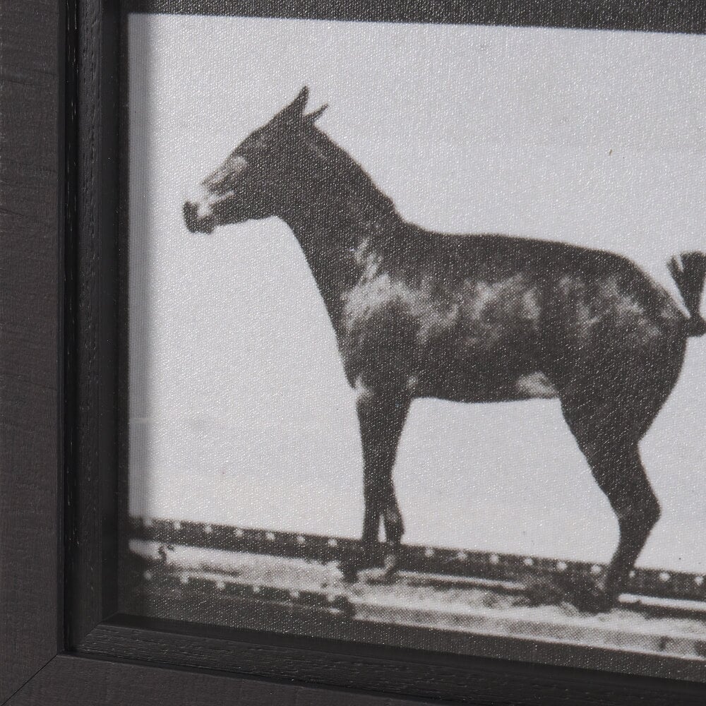 Art mural « Bucking and Kicking »