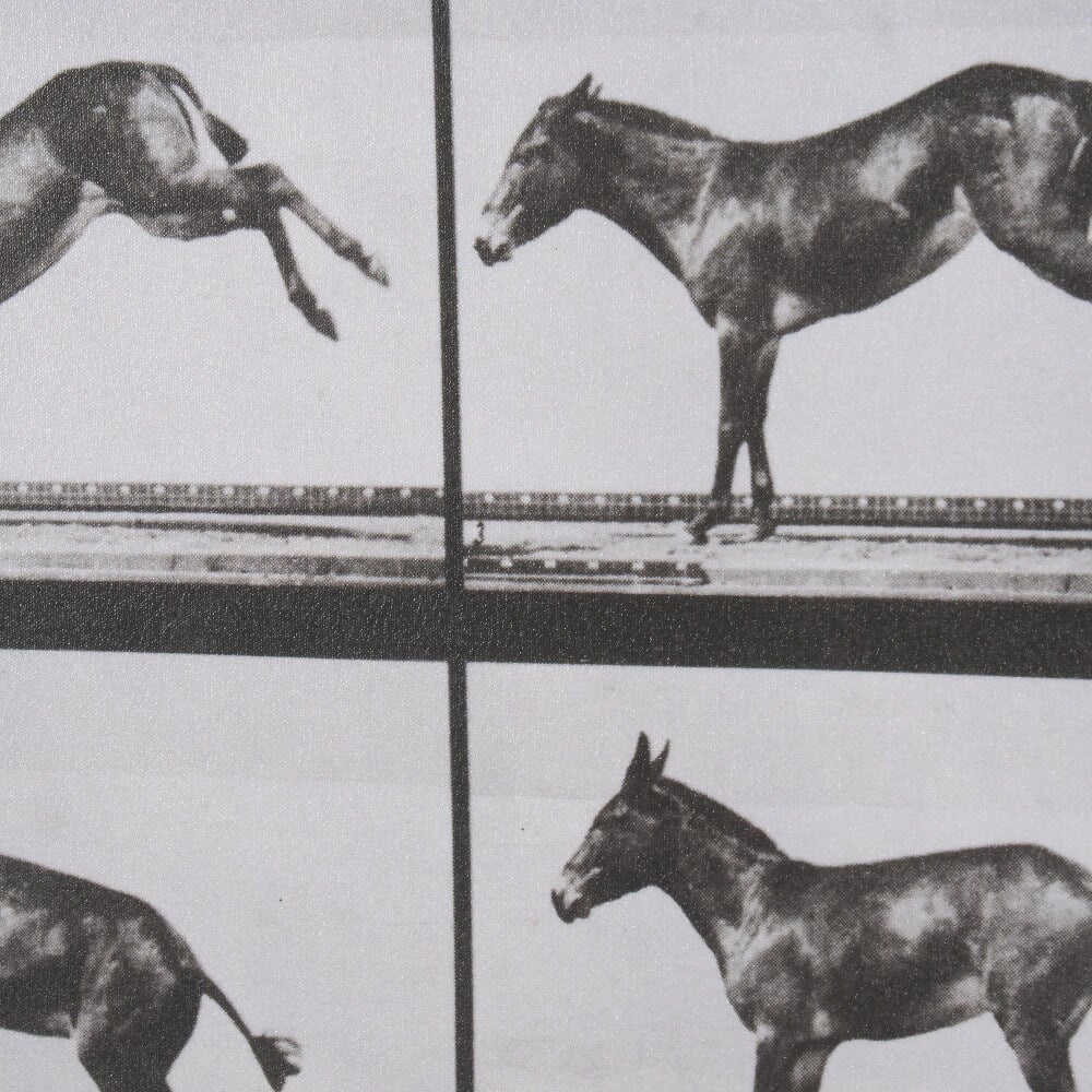 Art mural « Bucking and Kicking »