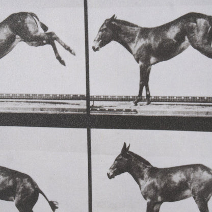 Art mural « Bucking and Kicking »