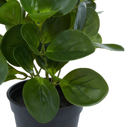 Plante Peperomia artificielle