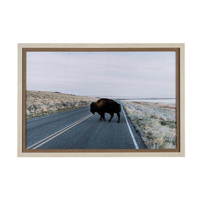 Estampe artistique Bison Crossing