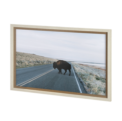 Estampe artistique Bison Crossing
