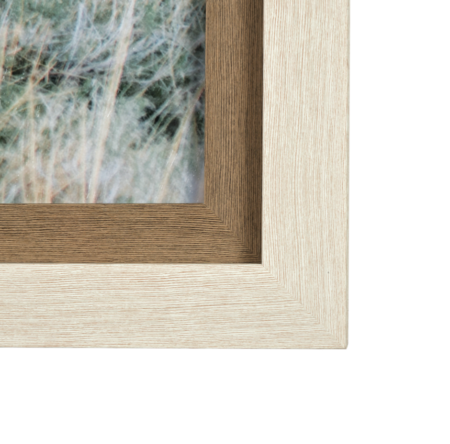 Estampe artistique Bison Crossing