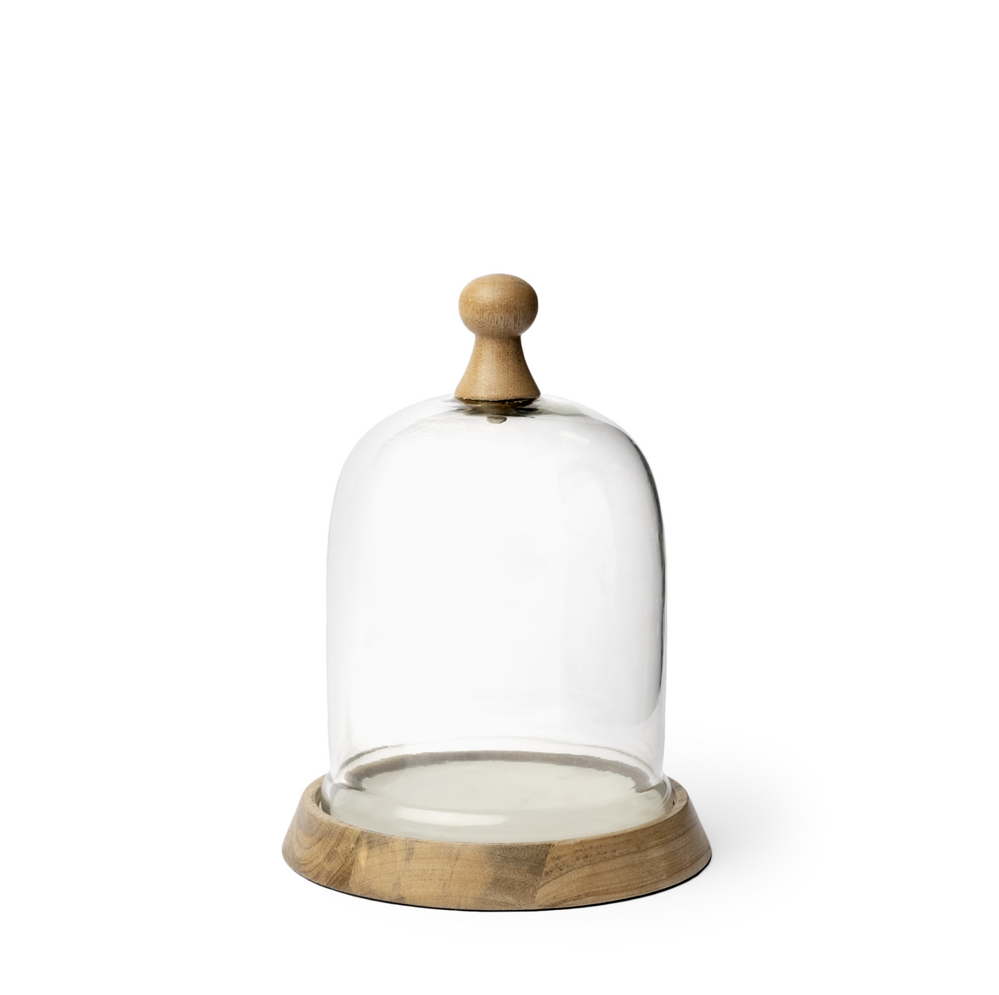 Cloche en verre Campana I Petite