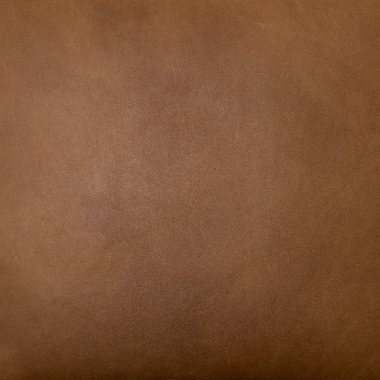 Fauteuil d'appoint Silas