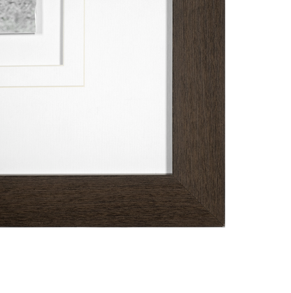 Reproduction encadrée d'un ourson curieux