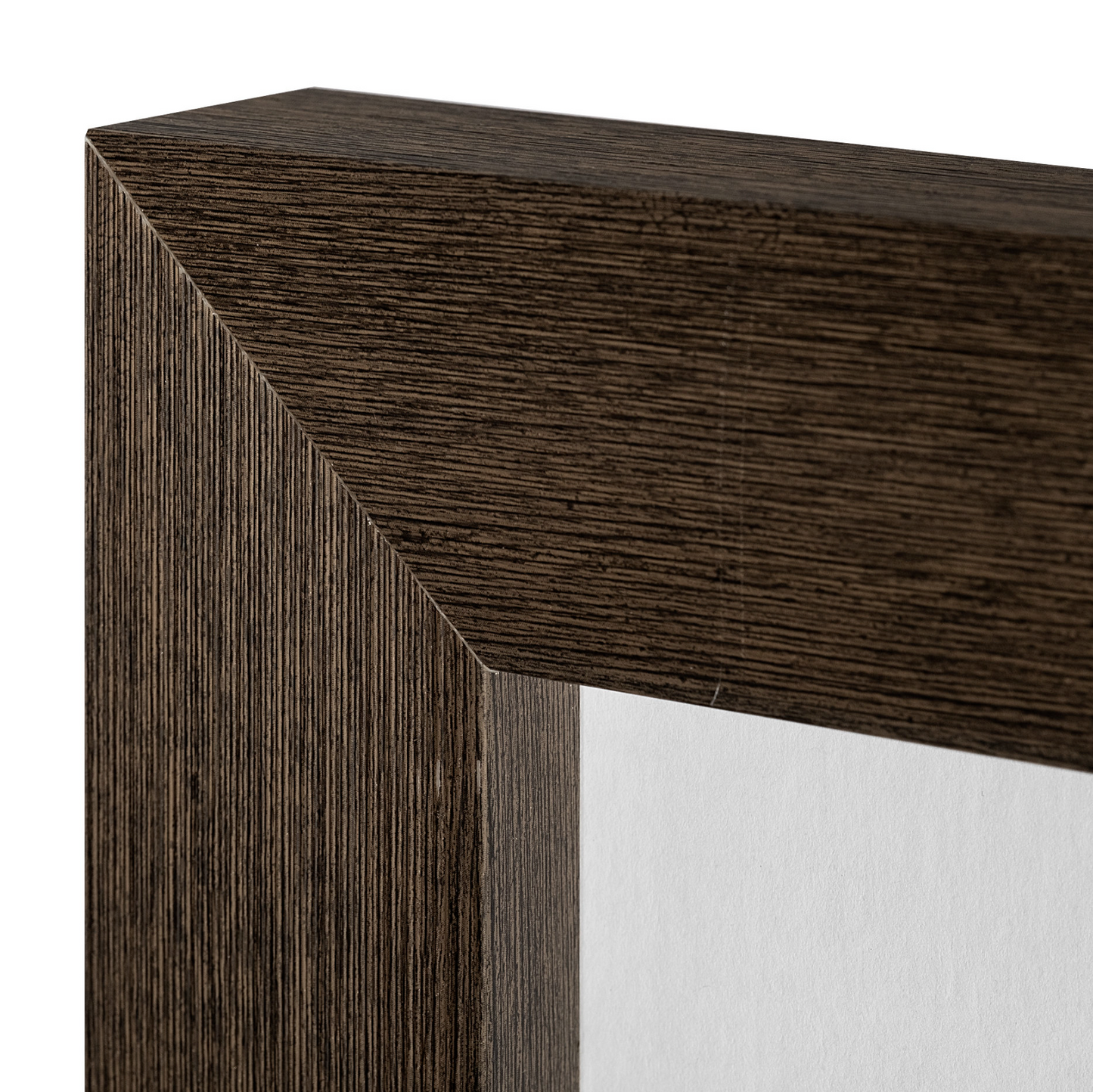 Reproduction encadrée d'un ourson curieux