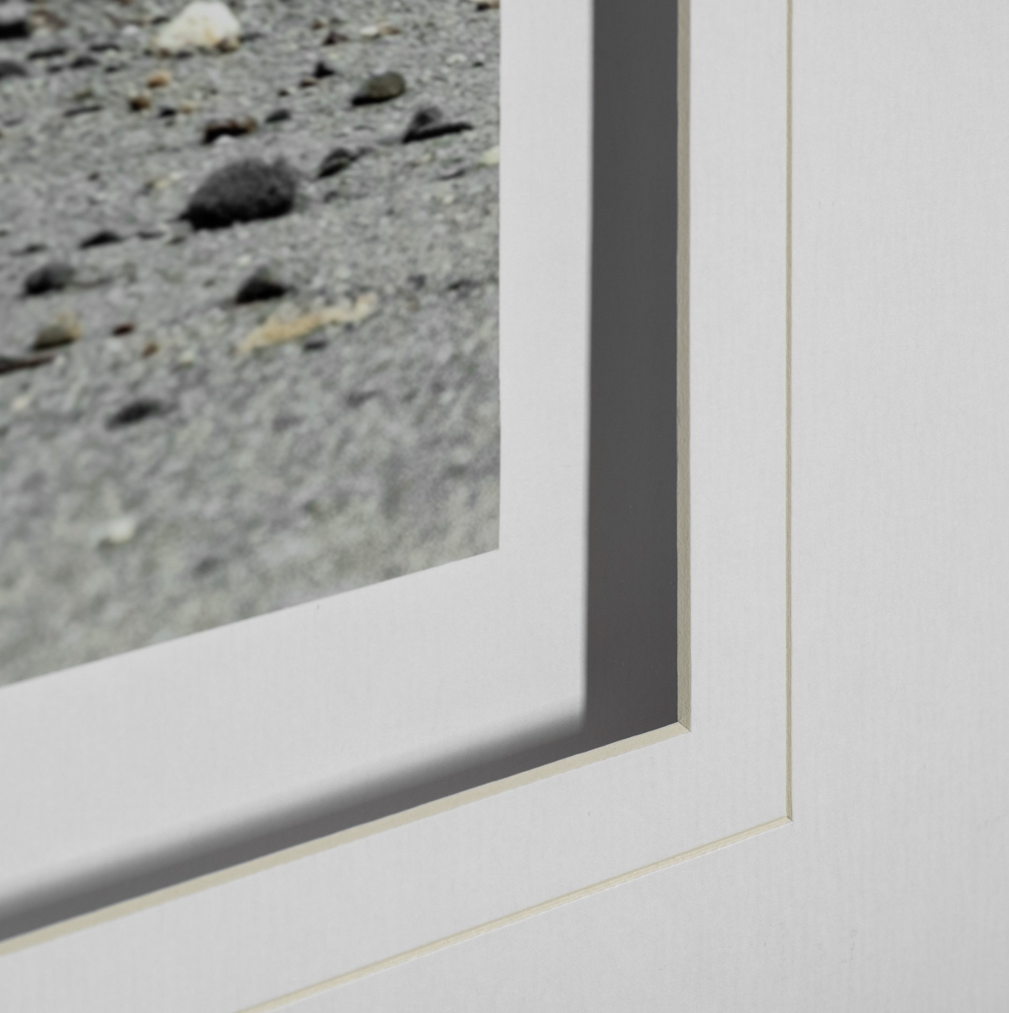 Reproduction encadrée d'un ourson curieux