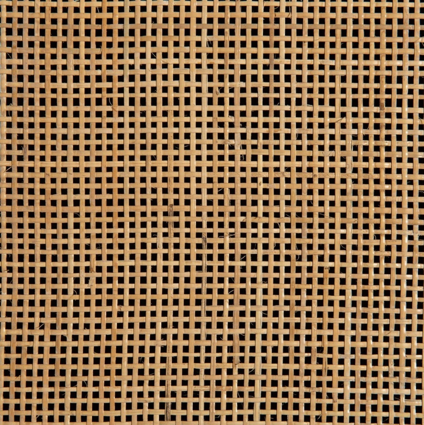 Grande bibliothèque Caprice