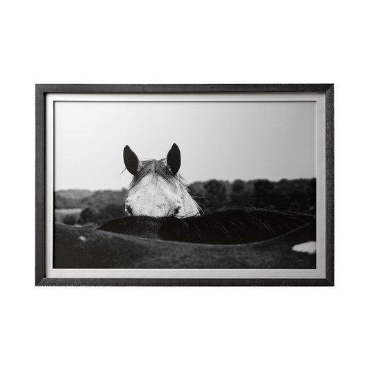 Affiche encadrée Flirt