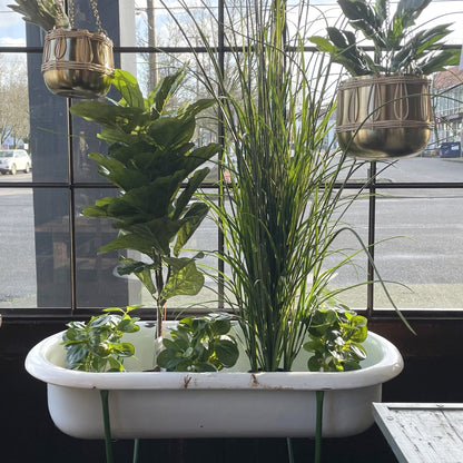 Faux figuier lyre de 90 cm