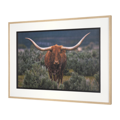 Décoration murale Longhorn 5