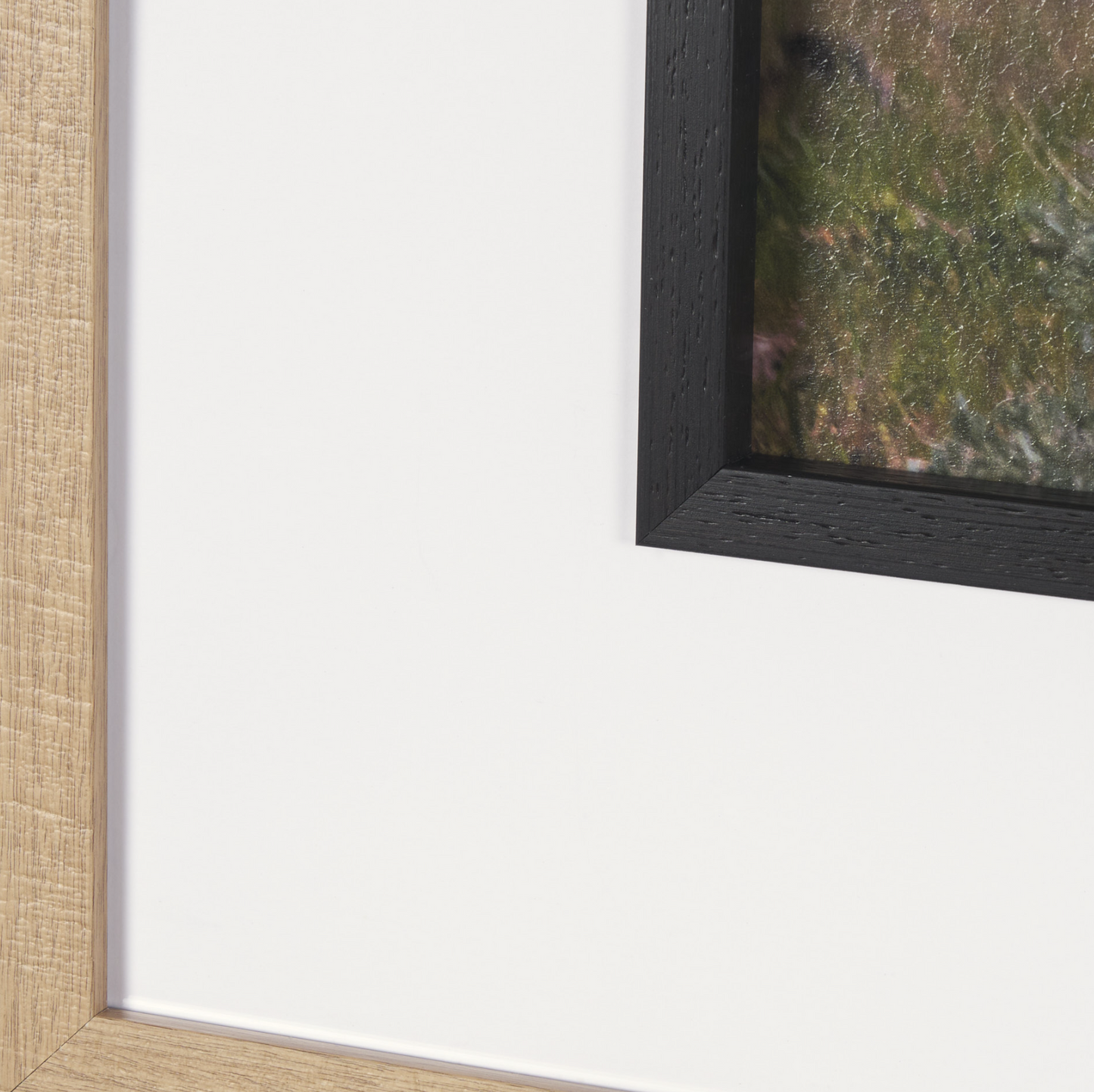 Décoration murale Longhorn 5