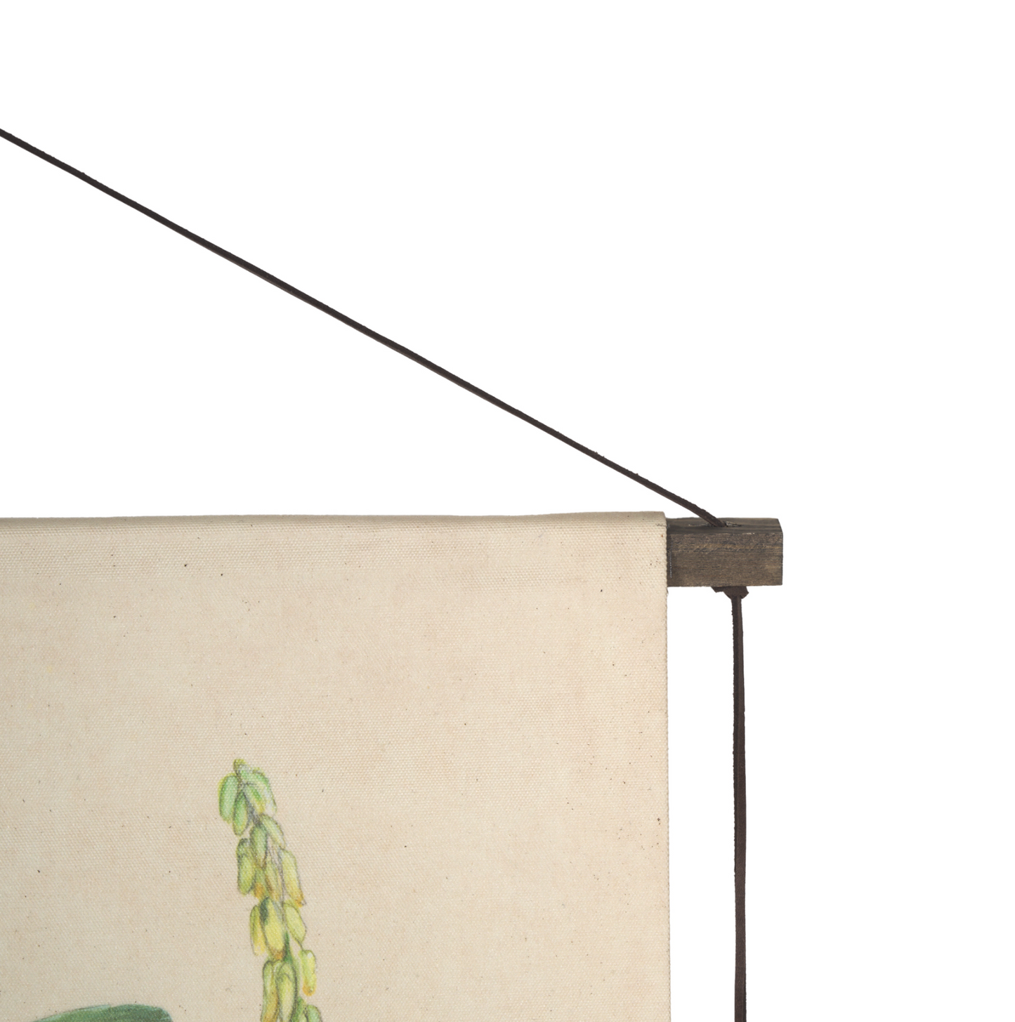 Étude botanique - Tableau mural