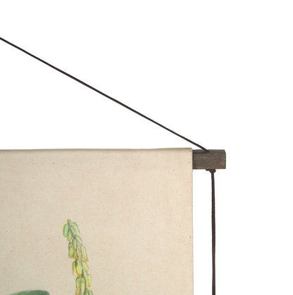 Étude botanique - Tableau mural