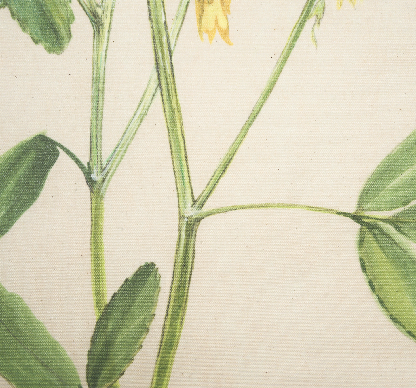 Étude botanique - Tableau mural