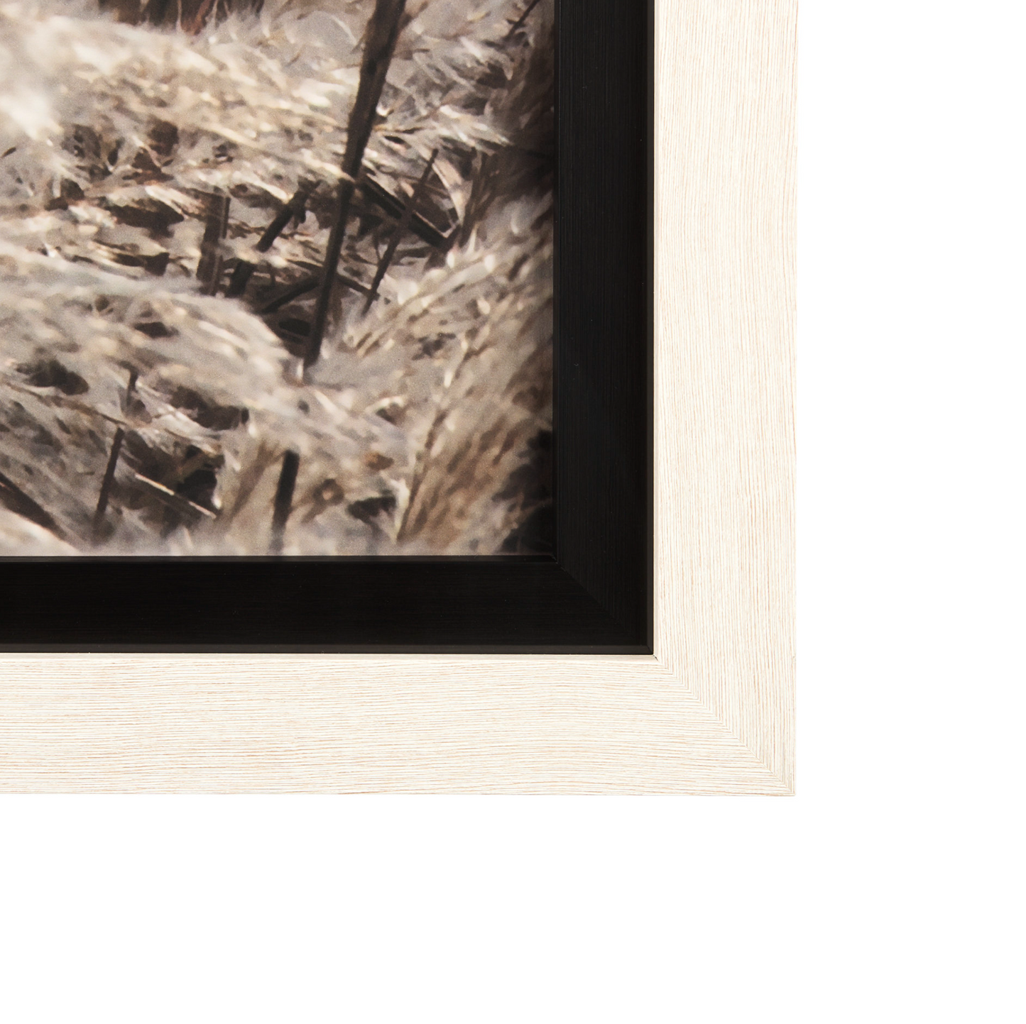 Ensemble de 2 tableaux muraux « Mélodie de la nature »