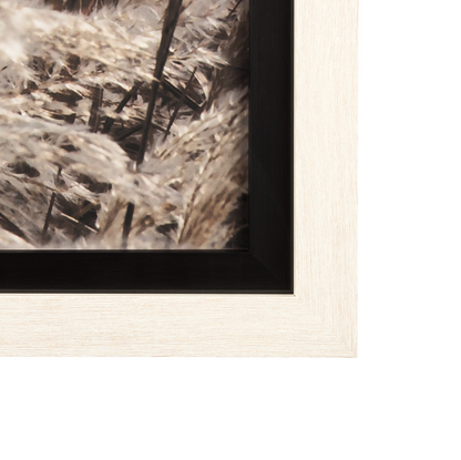 Ensemble de 2 tableaux muraux « Mélodie de la nature »