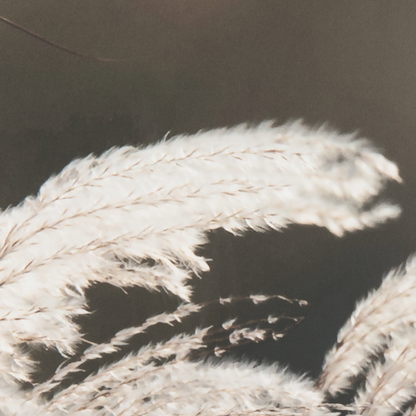 Ensemble de 2 tableaux muraux « Mélodie de la nature »