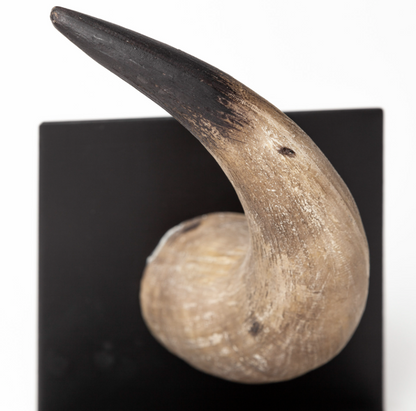 Serre-livres Nickerson