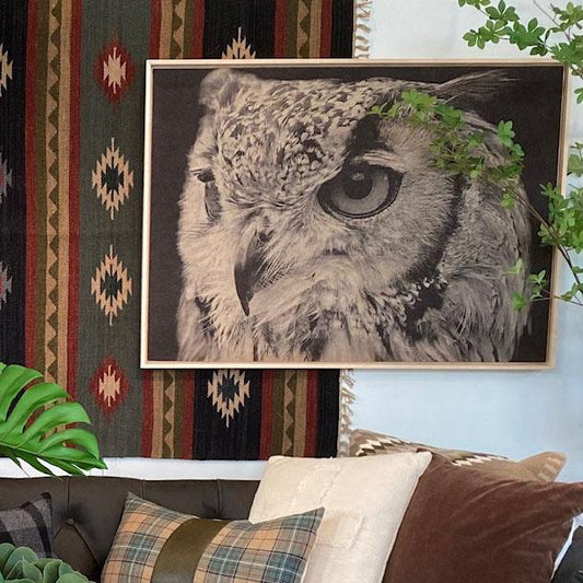 Tableau encadré Hibou