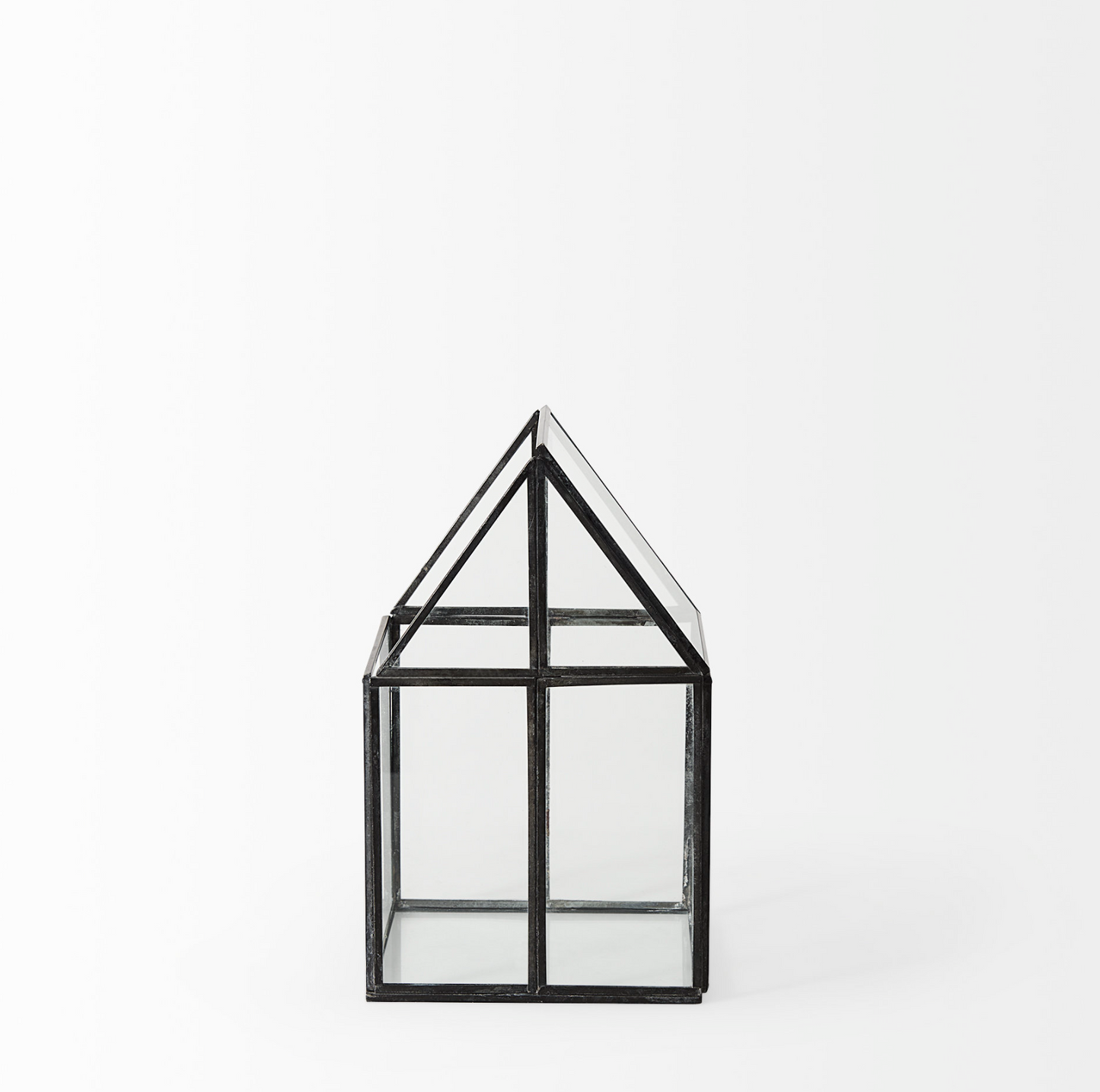 Terrarium en verre Sikes