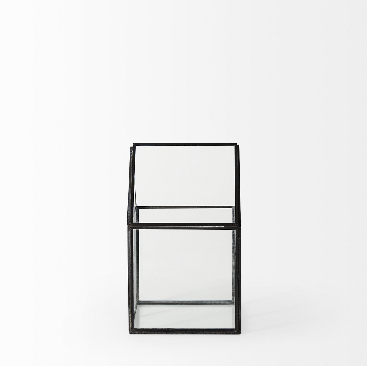 Terrarium en verre Sikes