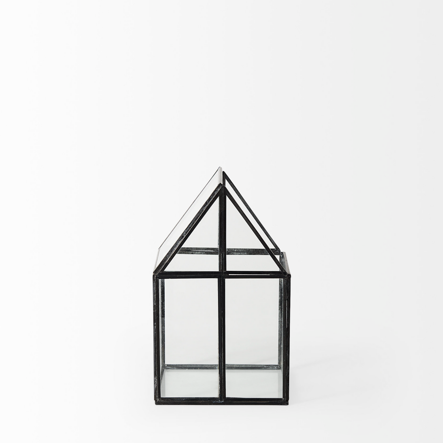 Terrarium en verre Sikes