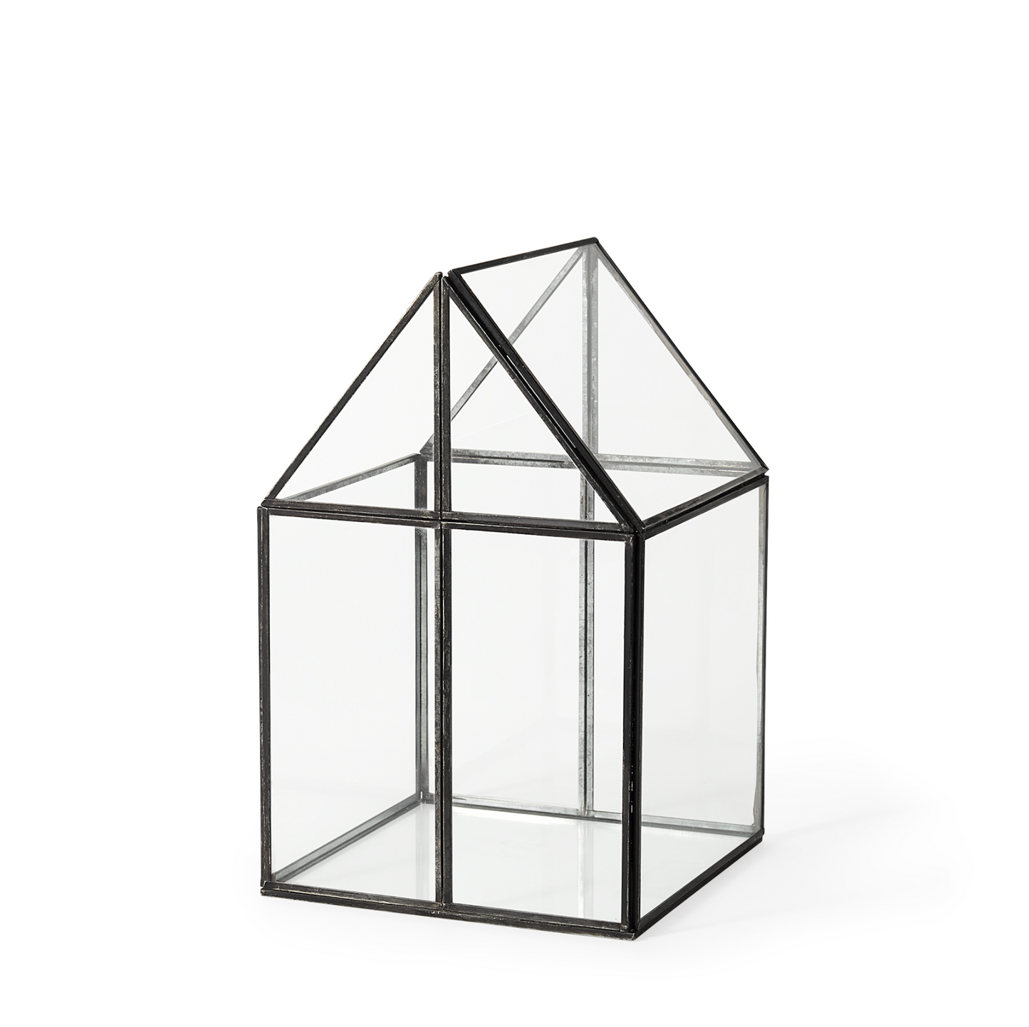 Terrarium en verre Sikes