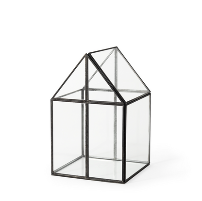 Terrarium en verre Sikes