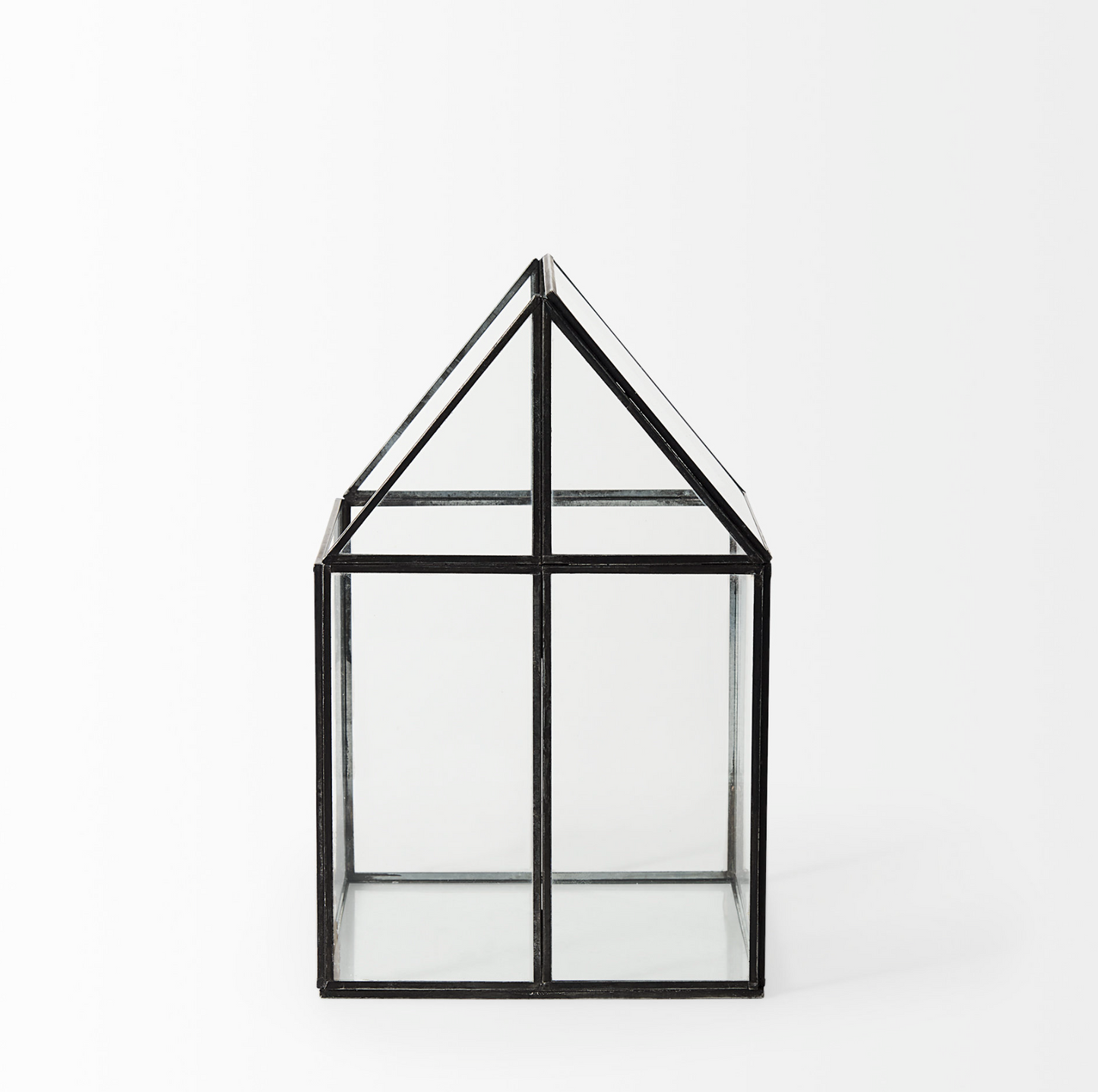 Terrarium en verre Sikes