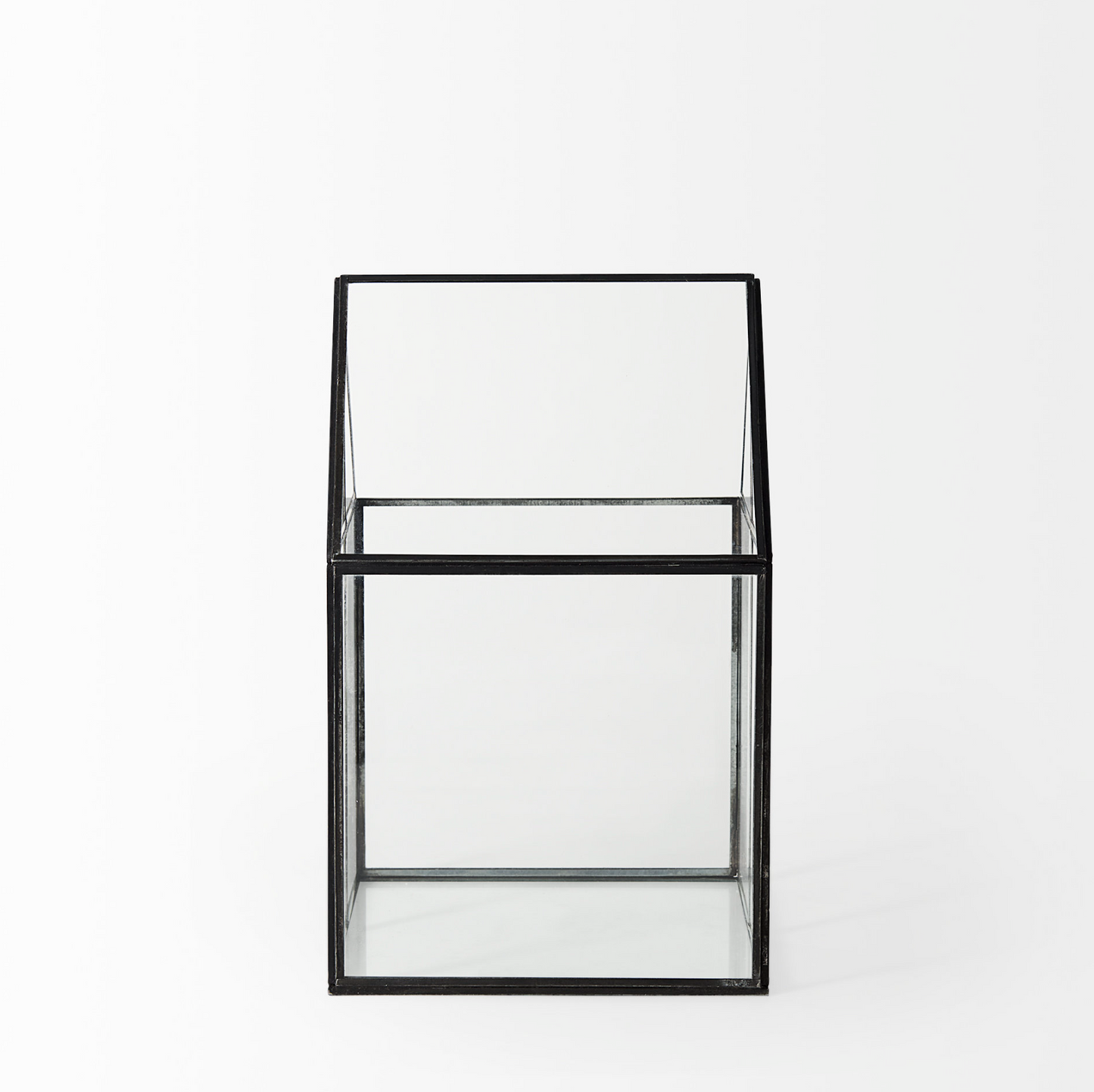 Terrarium en verre Sikes