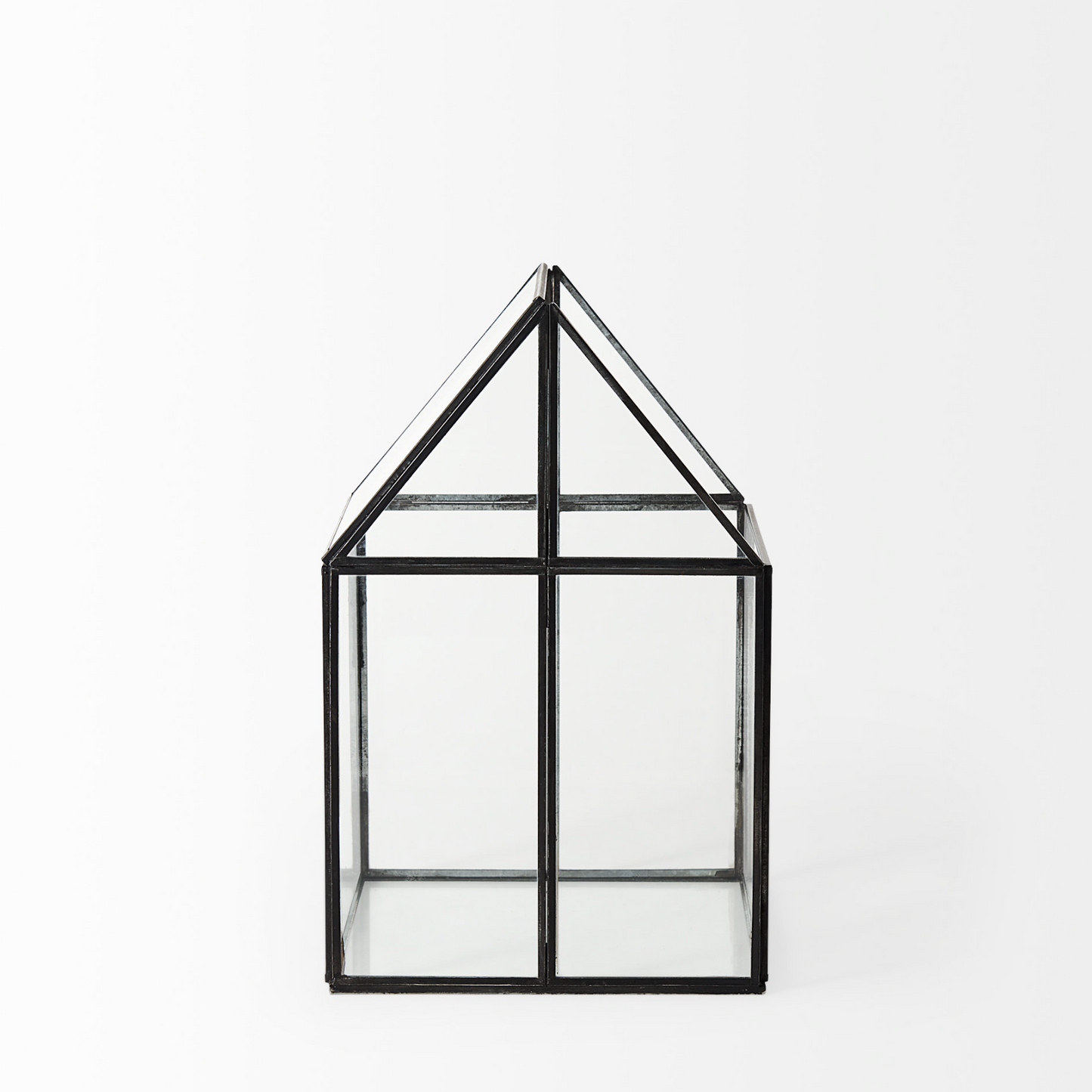 Terrarium en verre Sikes