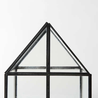 Terrarium en verre Sikes