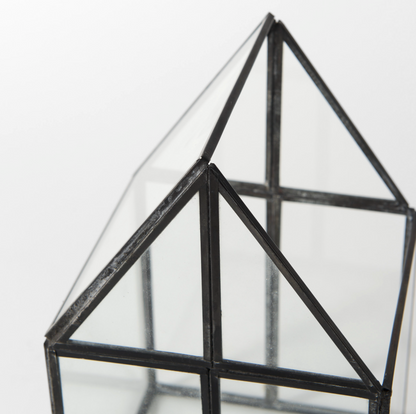 Terrarium en verre Sikes