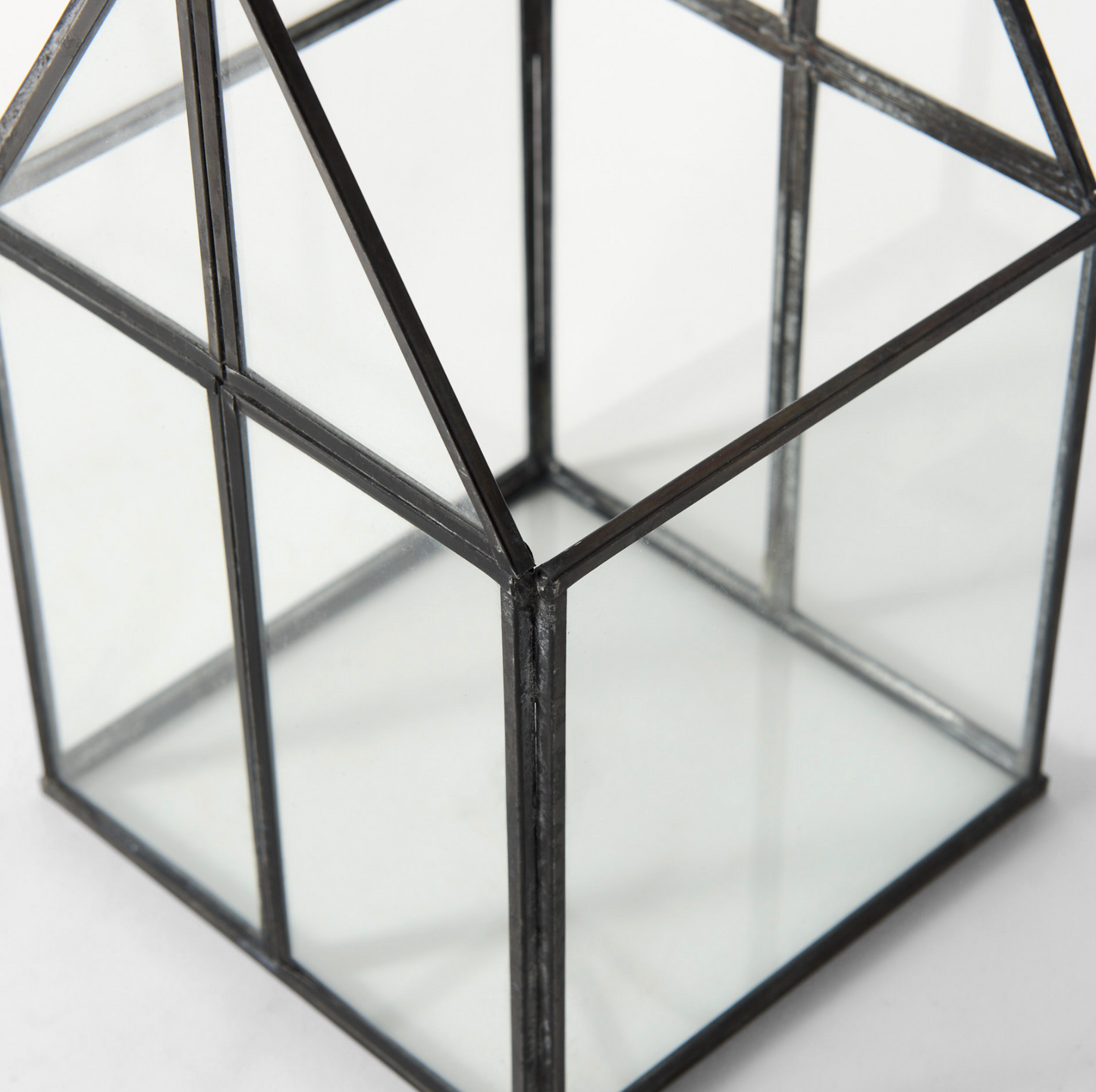 Terrarium en verre Sikes